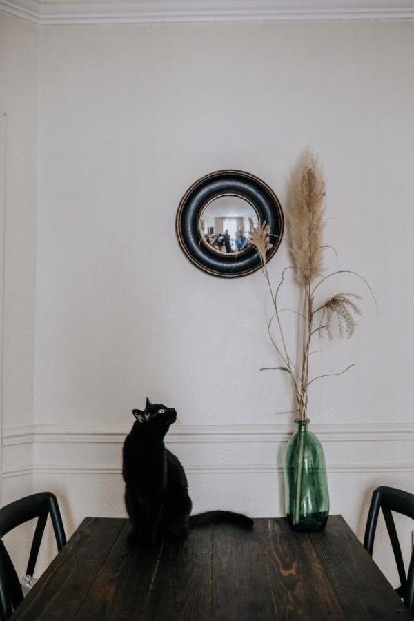 Ich bin ein absoluter Fan dieser Art von Website, wo Sie originelle und einzigartige Stcke finden knnen.