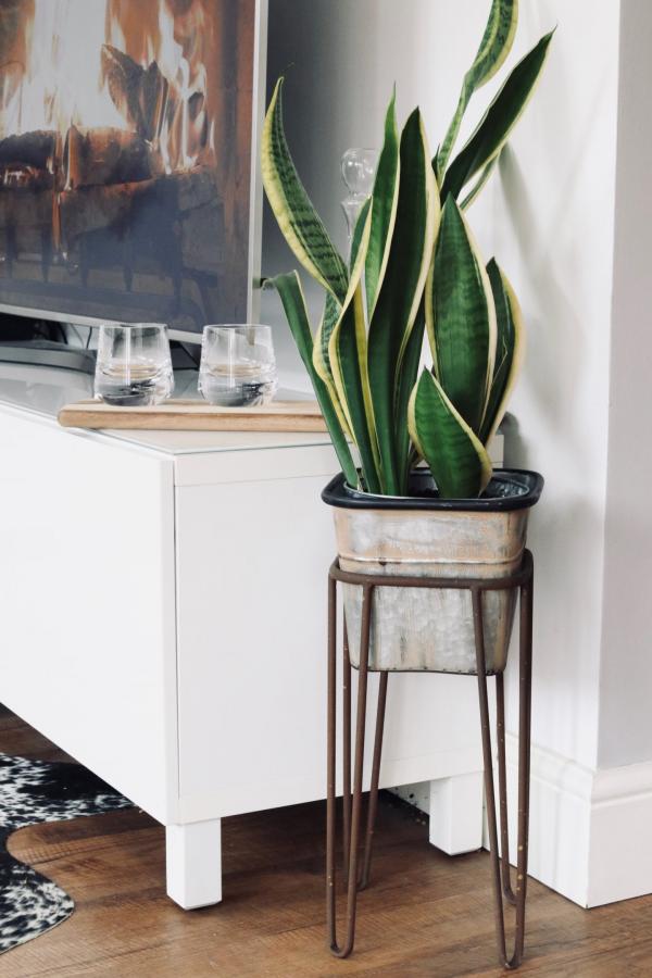 Die Qualitt ist hervorragend 