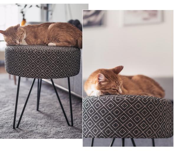 Leander tripod Pouf, which is not only a great match for my grey sofa, but also a highlight for Luna and Hexe.