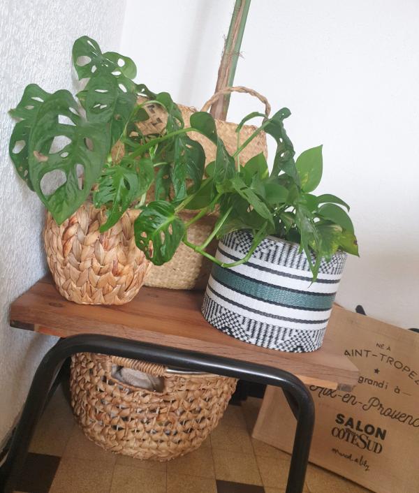 elle se marie trs bien dans ma dco un peu bobo-jungle urbaine et j'aime surtout sa grande surface de plateau qui m'a permis d'y installer mon cocotier et ma monstera