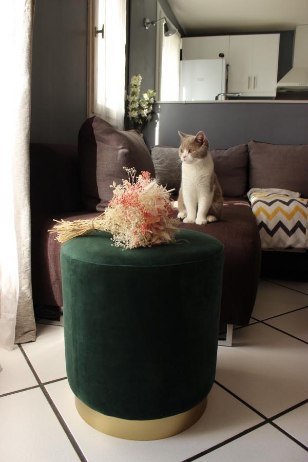J'ai été agréablement surprise par la taille du pouf, il est assez large et l?assise est bien confortable.