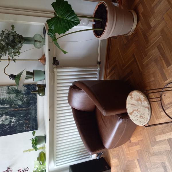 Fauteuil en cuir noisette