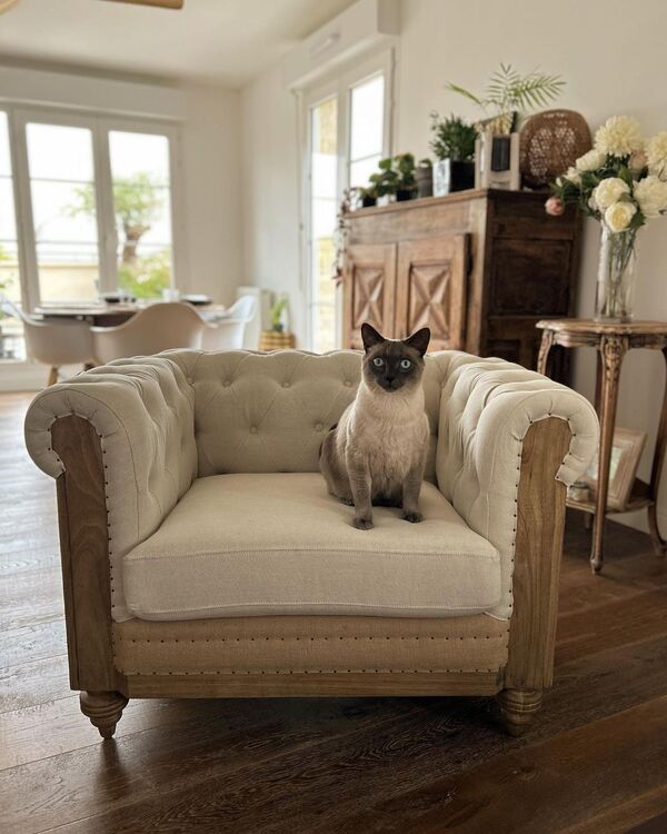 Fauteuil chesterfield en lin et coton amande