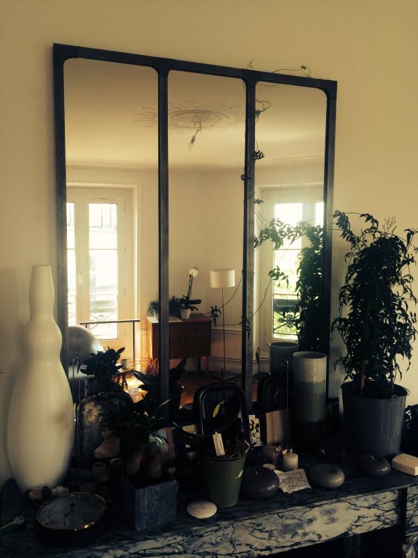 Miroir atelier colonis� par une plante grimpante !