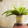The Amalia vase is a beautifully decorative object with an amusing optical illusion