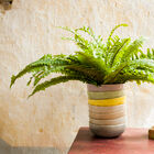 The Amalia vase is a beautifully decorative object with an amusing optical illusion