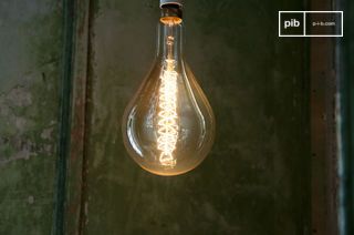 Ampoule géante à filament long