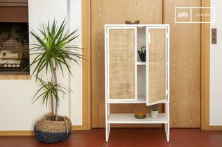 Armoire en métal et cannage