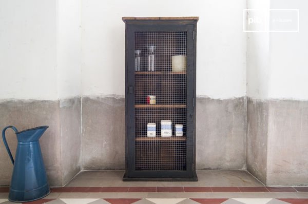Armoire grillagée Myers