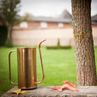 Pretty gilded brass jug.