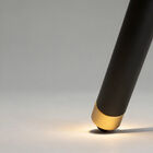 Ces partis pris esthétiques