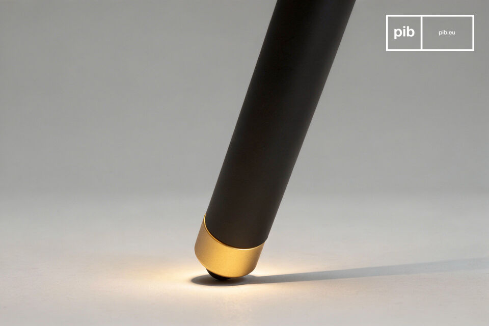 Ces partis pris esthétiques