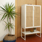 Its rendering is particularly vintage