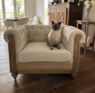 Le fauteuil chesterfield Montaigu a déjà trouvé son fan !
