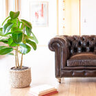 Dark brown leather and timeless lines