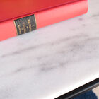 Sublime white marble top with a light grey veining.