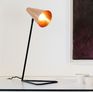 Copper head lamp