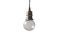 Miniatuur Kleine zilveren hanglamp Darwin Productfoto