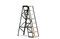Miniatuur 8-traps werkplaats trapladder Custer Productfoto