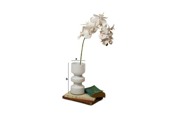 Product Dimensions Ella glass vase