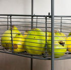 A practical storage for your kitchen or living room