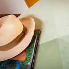 Für weichen Samt, je nach Licht hellgrün oder mint.