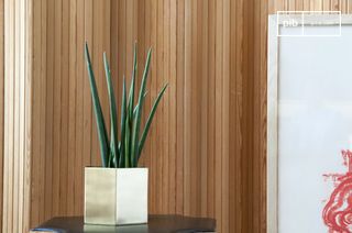 Brass planter