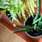 Una unidad de almacenamiento versátil con un diseño atemporal.