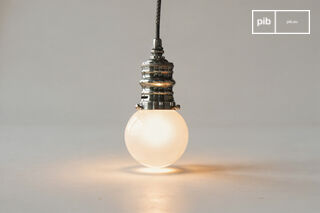 Kleine zilveren hanglamp Darwin