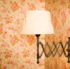 Elegante lampada da parete, bella cremagliera e braccio in ottone.