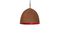 Miniatura Lampara colgante Raspberry Steel Clipped