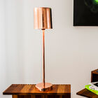 Magnifique lampe de table rose cuivré.