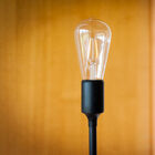 Die Lampe wird durch eine mattschwarze Fassung elegant ergänzt.