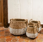 Lot de trois paniers en osier Pumpkins