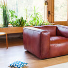 Mahogany leather armchair Krieger