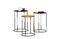 Miniatura Mesa tricolor Gigogne Clipped