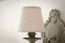 Mistral lampshade