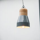 Gray metal pendant light Newark