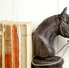 Beautiful horse head finely made.