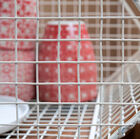 Le grillage permet une transparence charmante pour votre petite vaisselle.