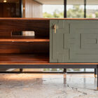 Its elongated silhouette