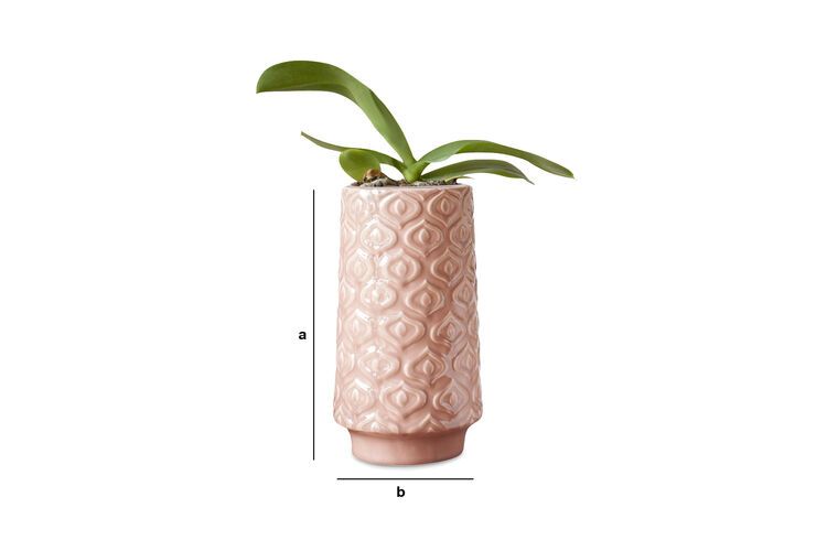 Product Dimensions Pink ceramic vase Aurora