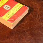 Una poltrona vestita in pelle dal look invecchiato.