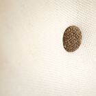 Piccoli bottoni marroni aggiungono un piacevole effetto allo schienale.