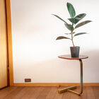 It will suit any type of decoration