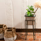 Het geheel is verouderd met een zeer trendy look.