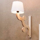 Uitzonderlijke wandlamp.