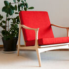 Superb armchair with bright colors.