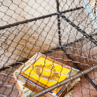 Dieses Produkt ist ziemlich untypisch.