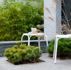 Beautiful Scandinavian design for an elegant chair.